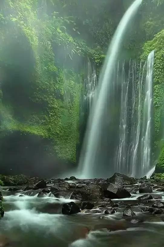 成长家园