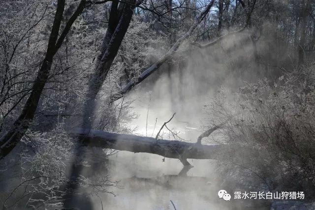 郭明錤：预计Vision Pro首周末卖出16-18万台
